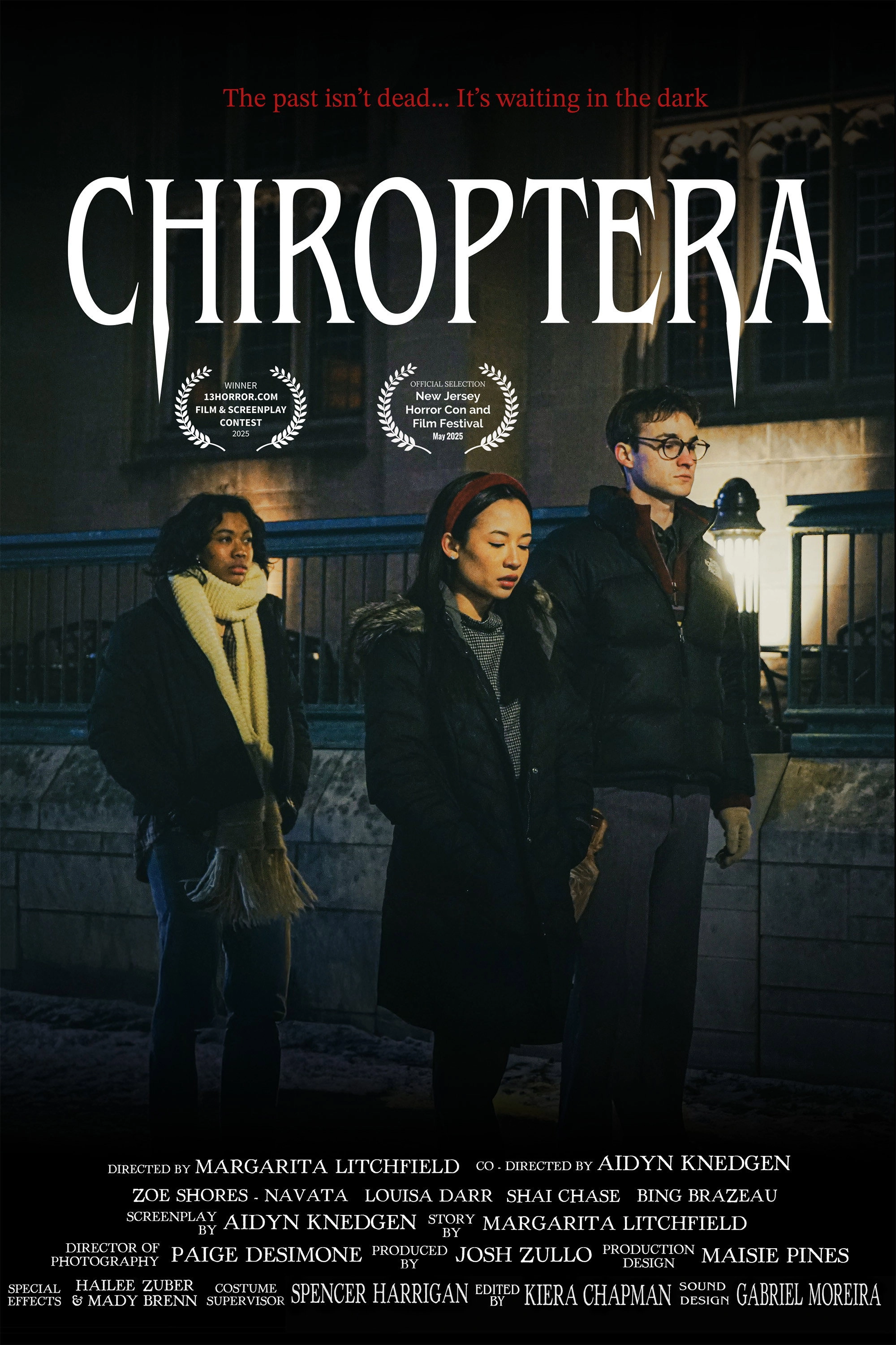 Chiroptera