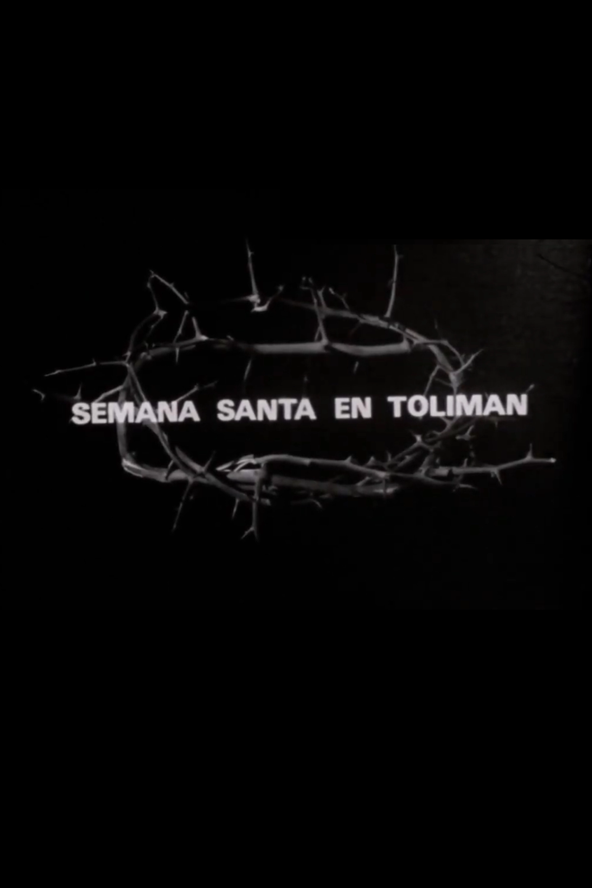 Semana Santa en Tolimán