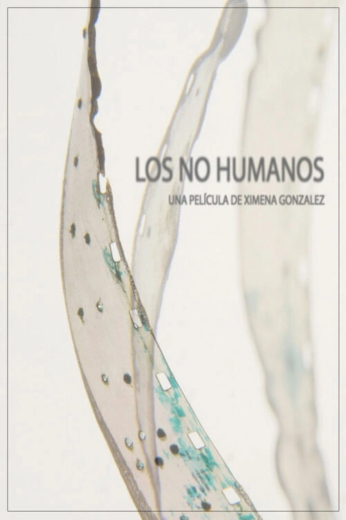 The Non-Humans