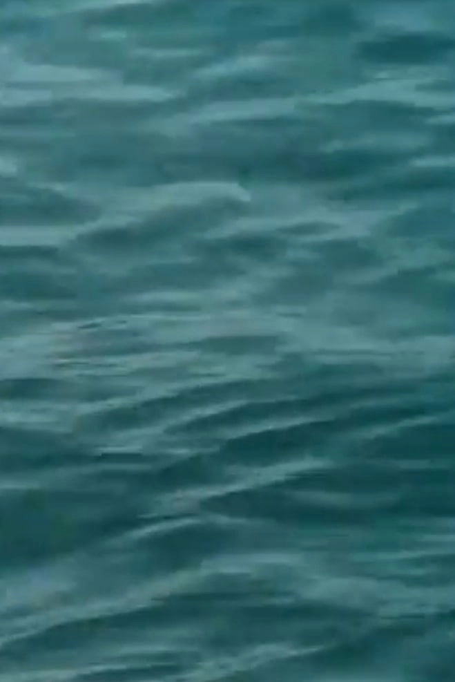 Waveforms