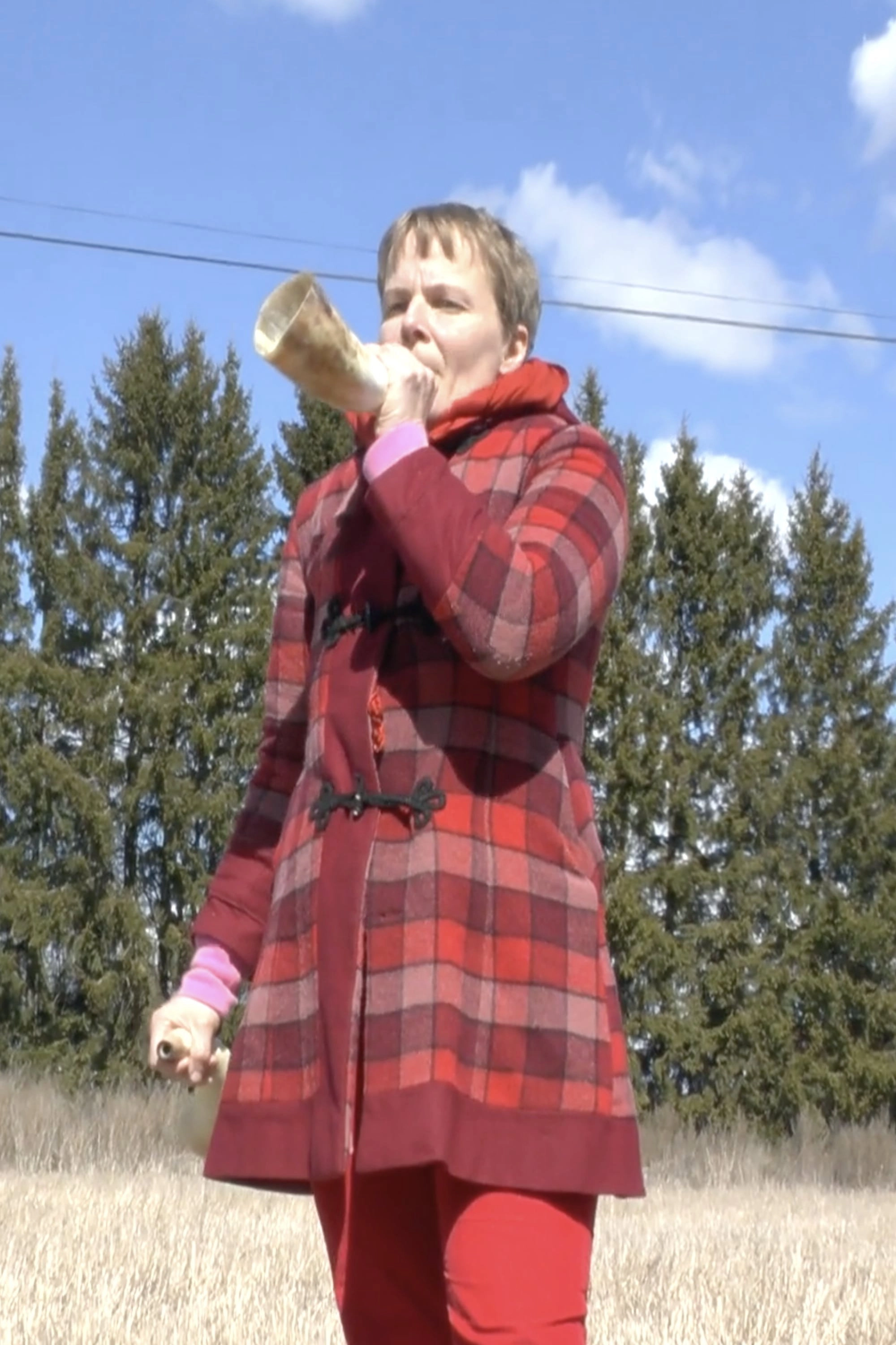 Horn Calls