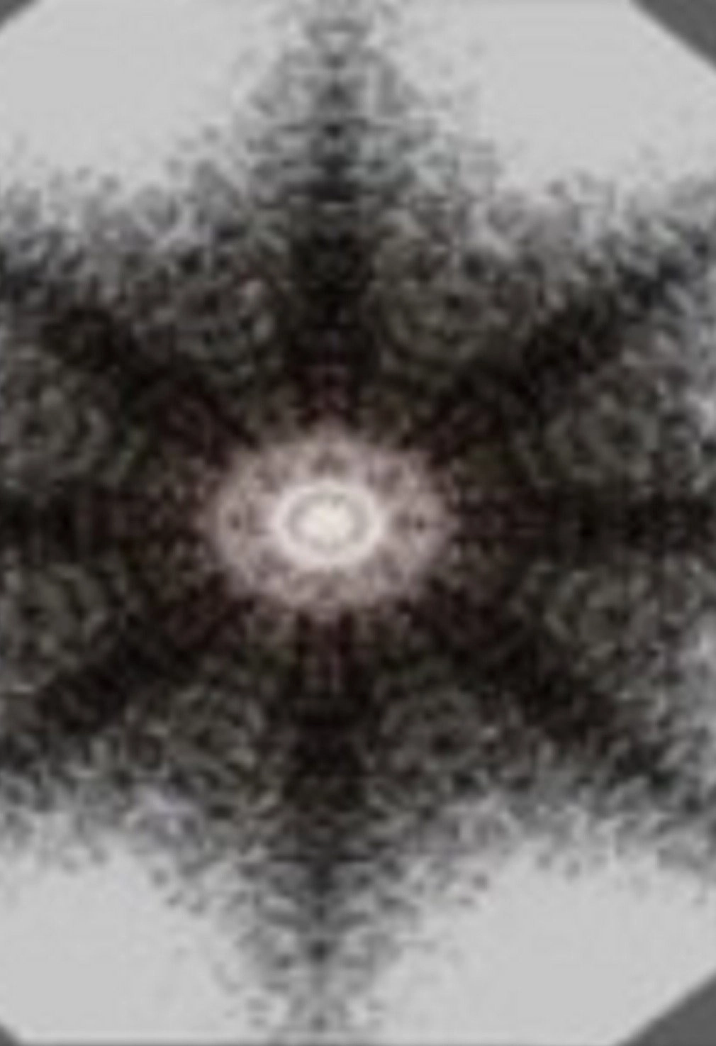 Star Light N°5
