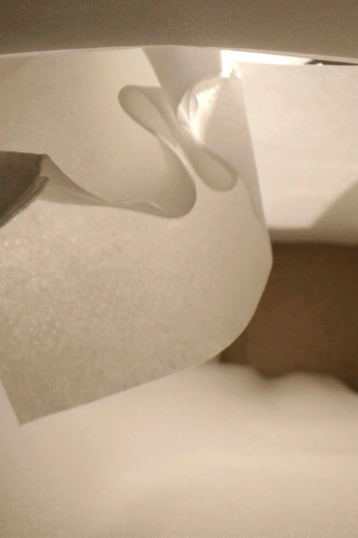 Tissue Technology