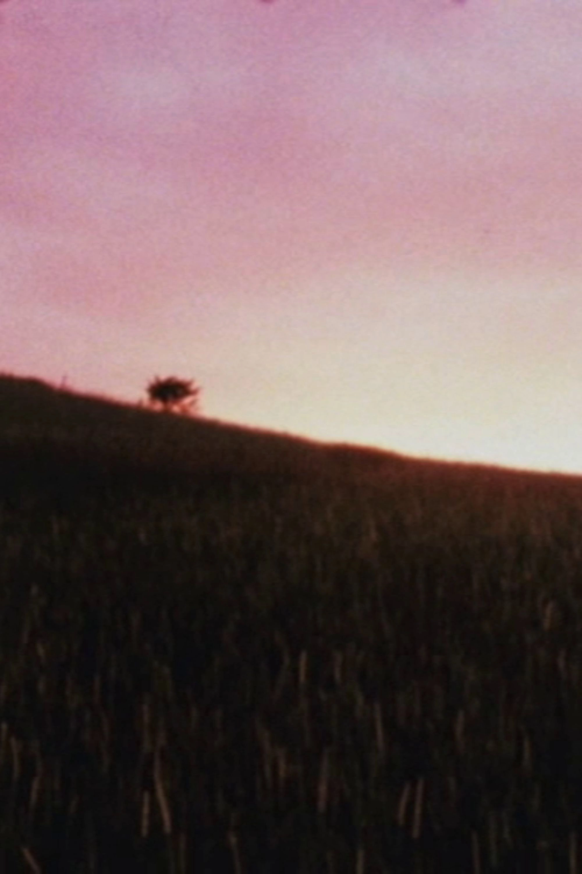 Horizons