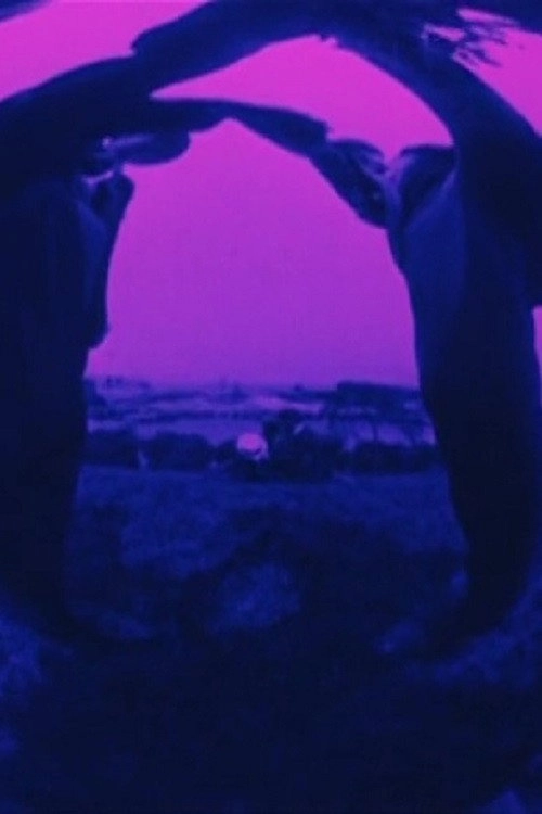 Looney Lens: Pas de deux