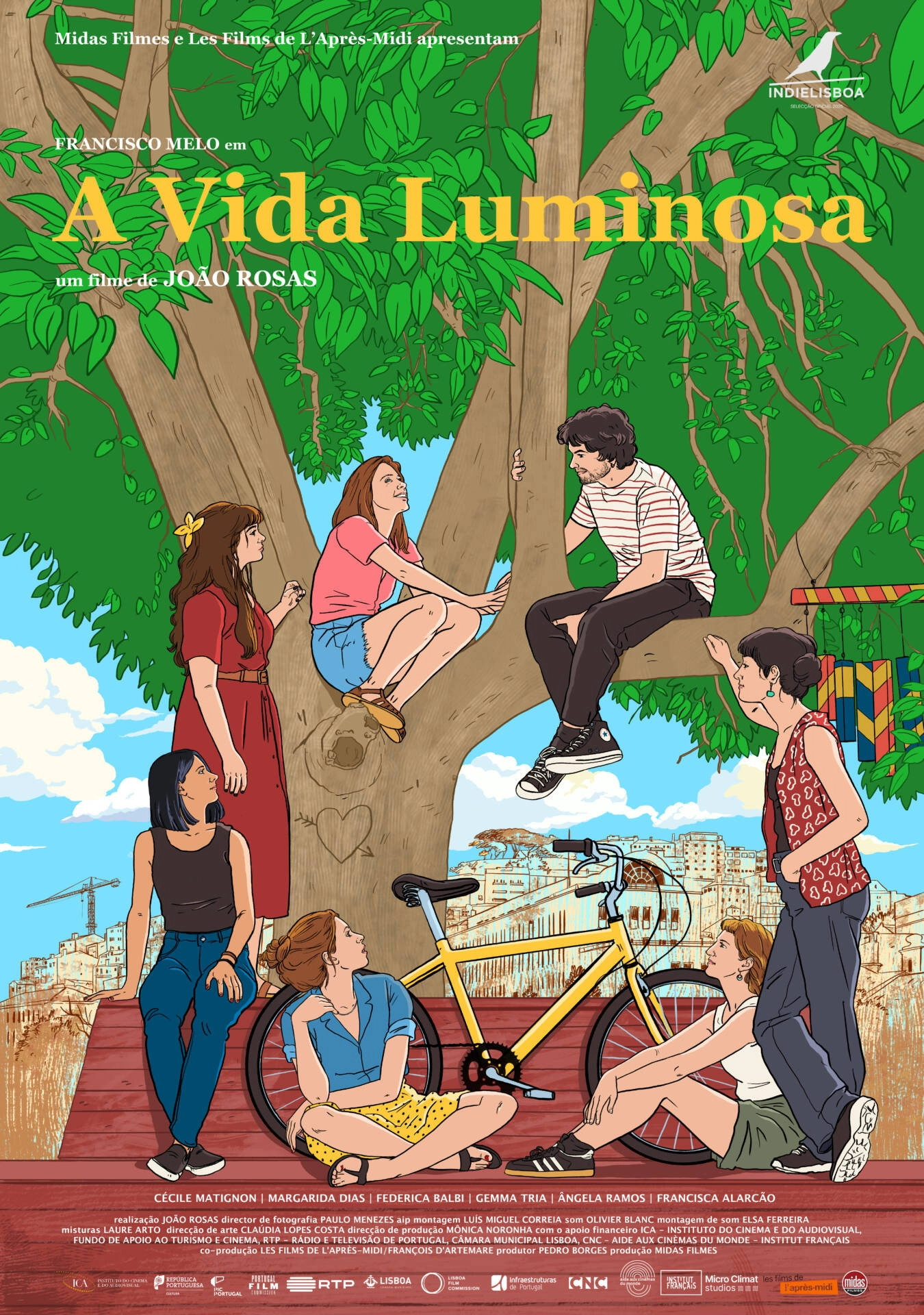 The Luminous Life