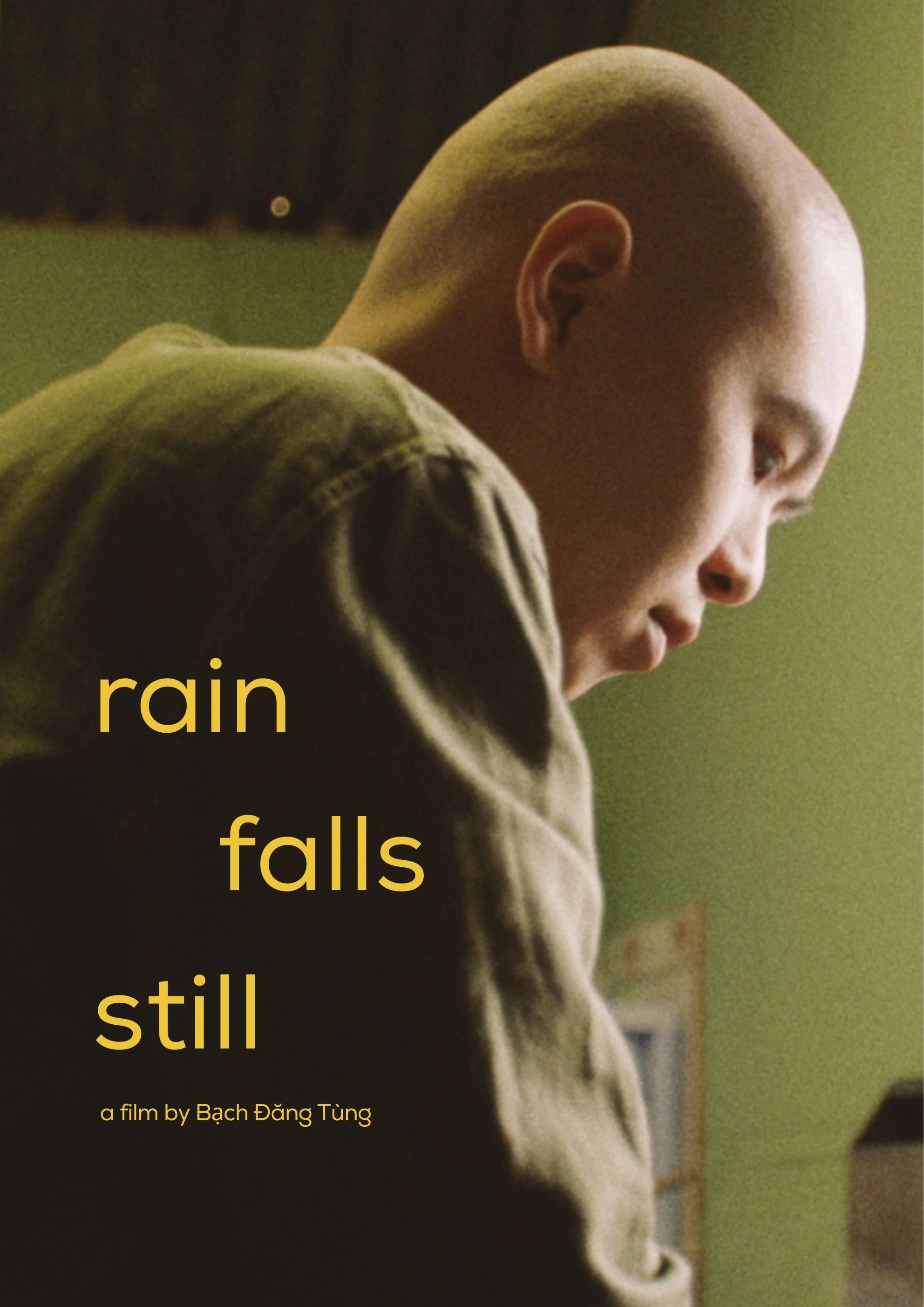 Rain Falls Still