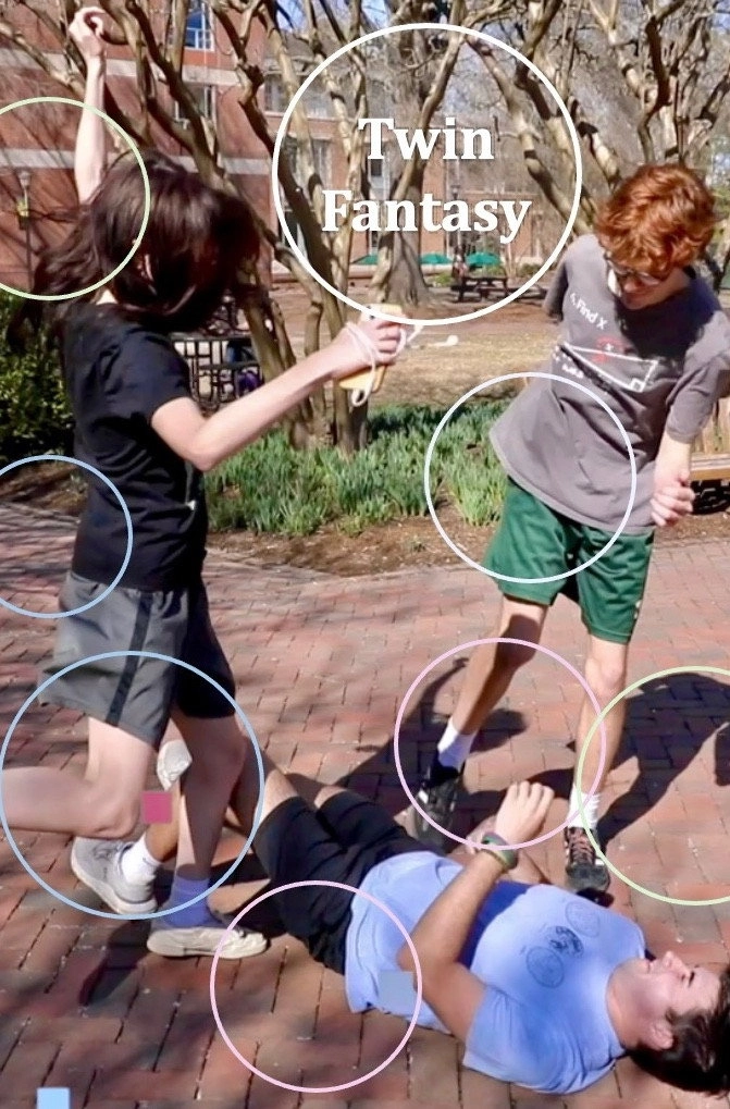 Twin Fantasy