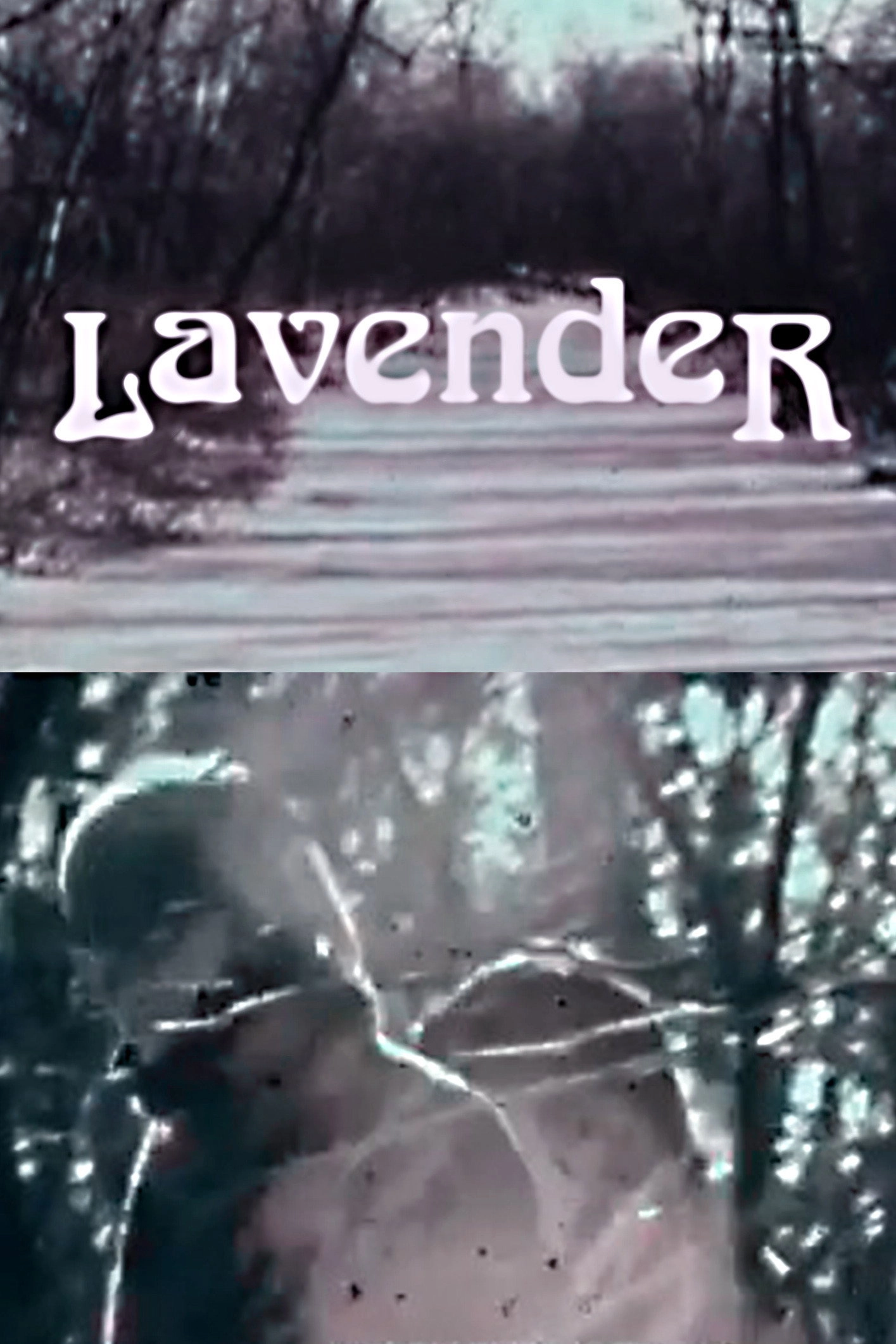 Lavender