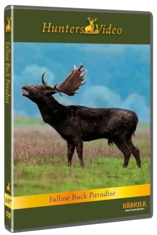 Fallow Buck Paradise