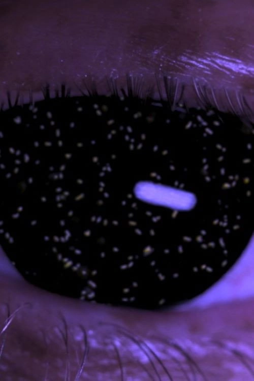 Holobiont