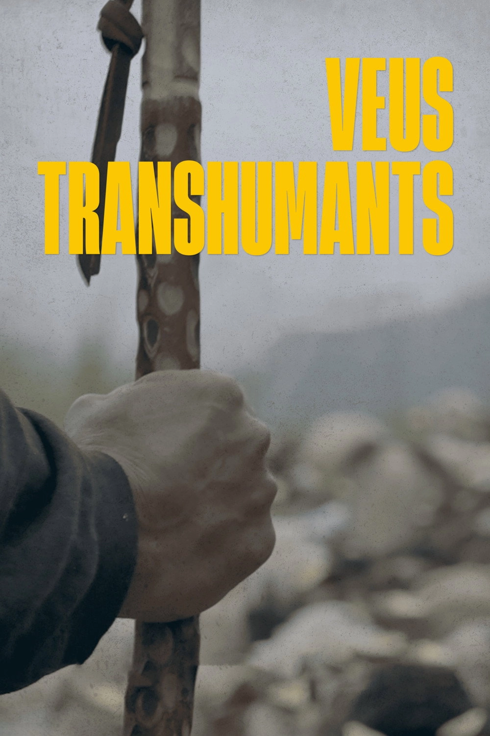 Veus transhumants