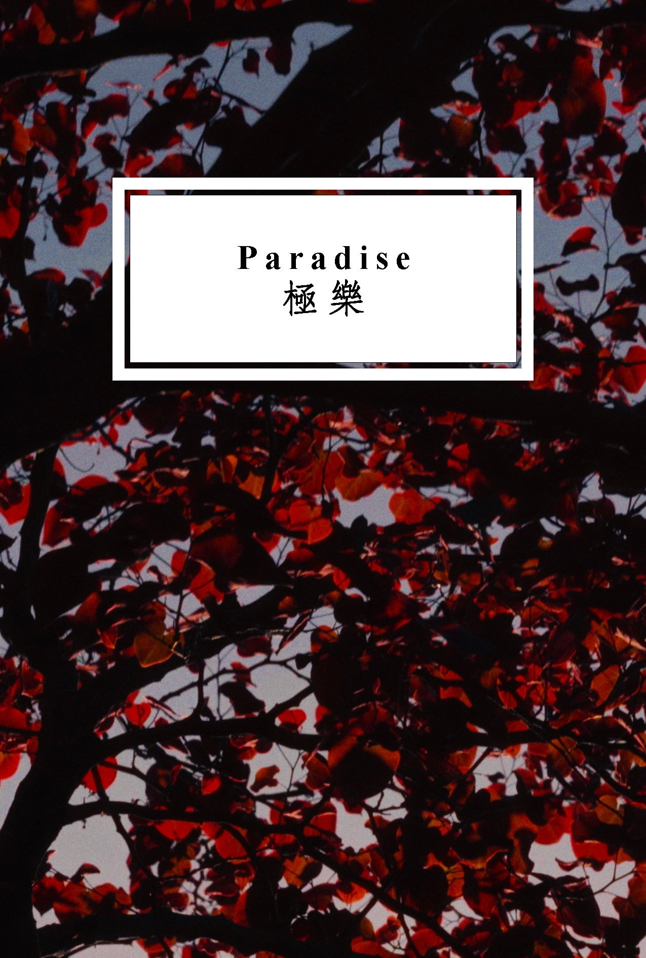 Paradise