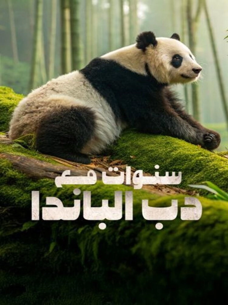 Years with the Panda