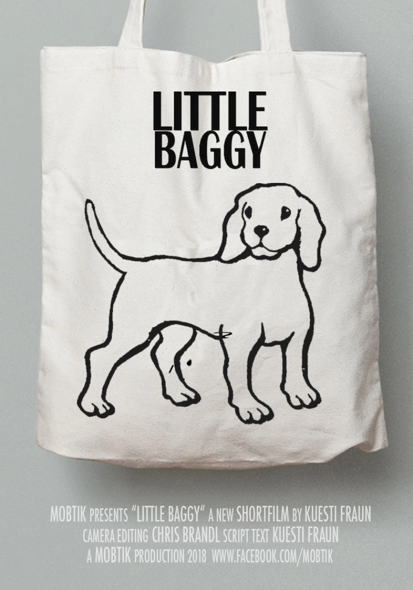 Little Baggy