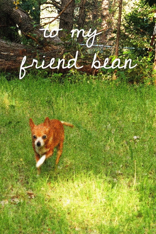 To My Friend Bean