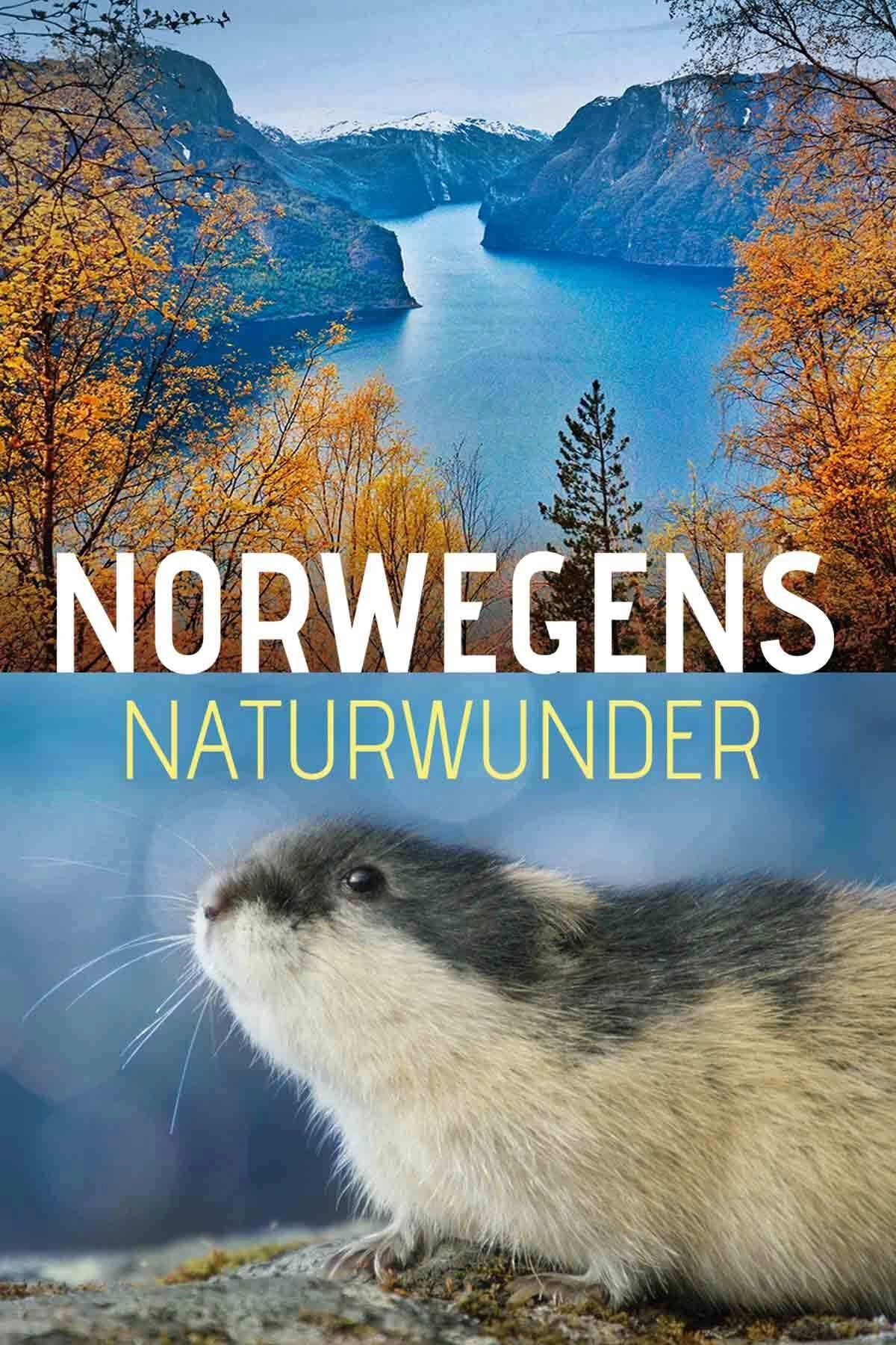 Norwegens Naturwunder