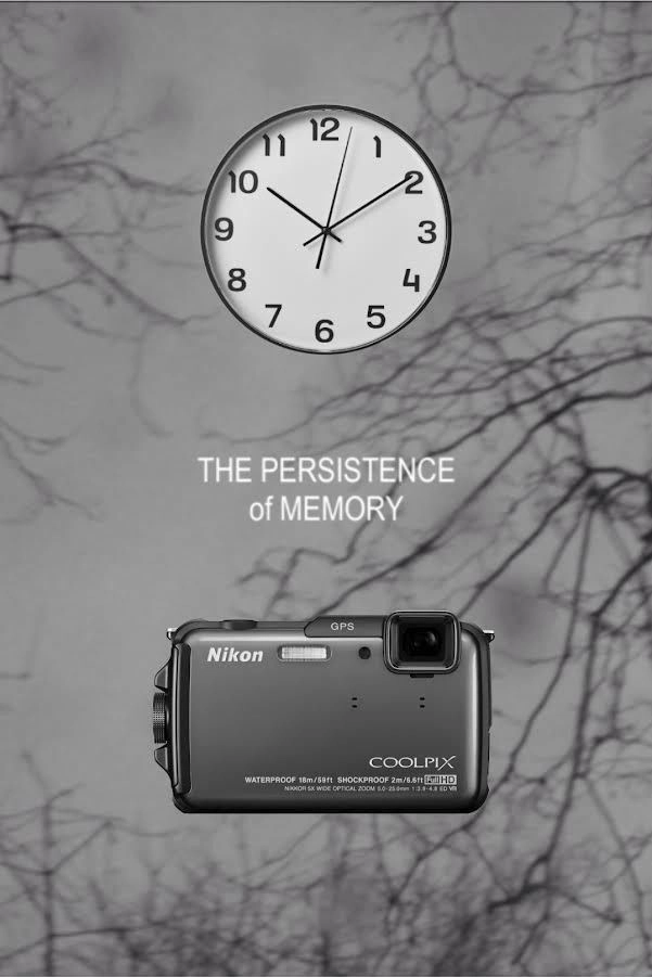 The Persistence of Memory