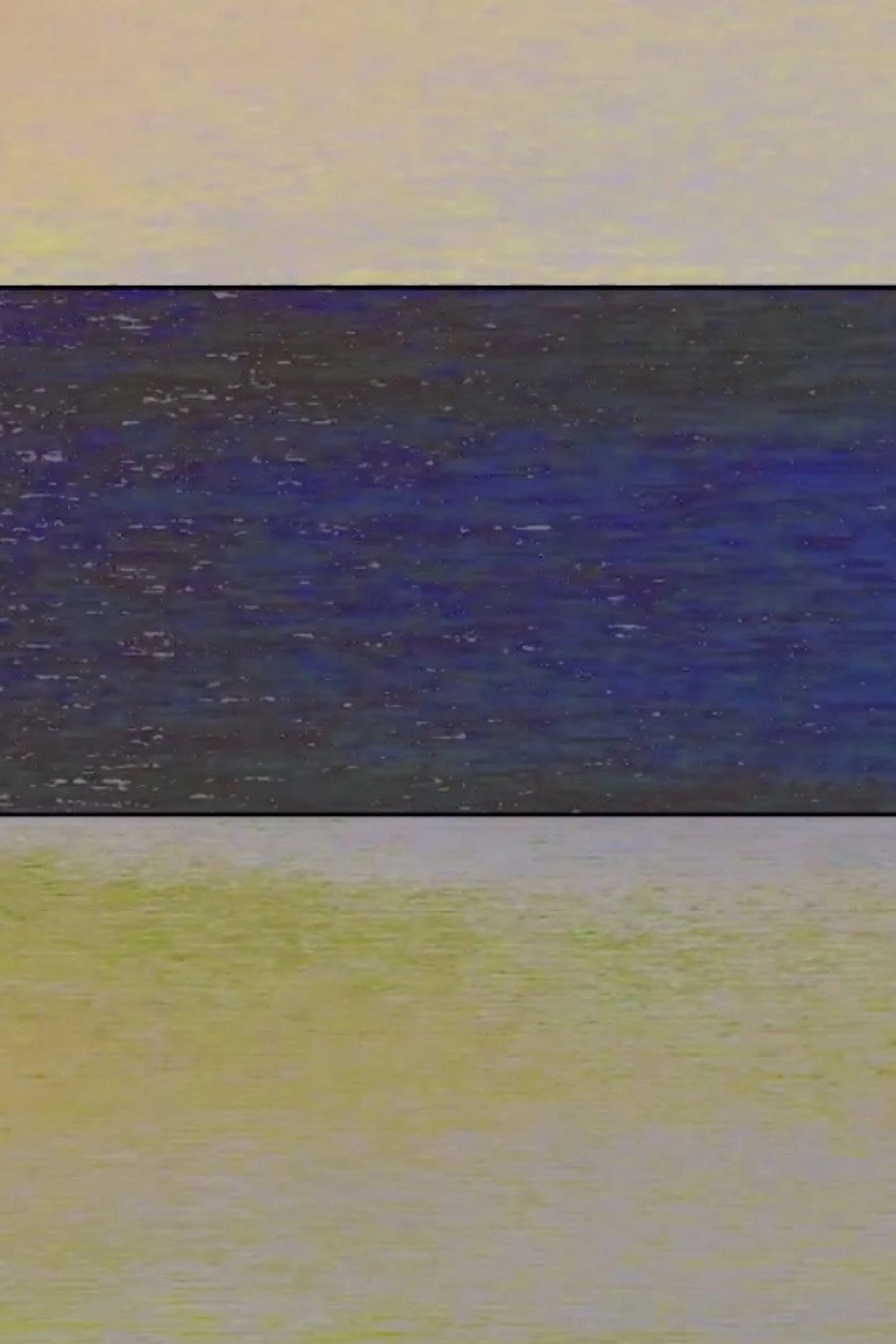 MONET VARIATION 1