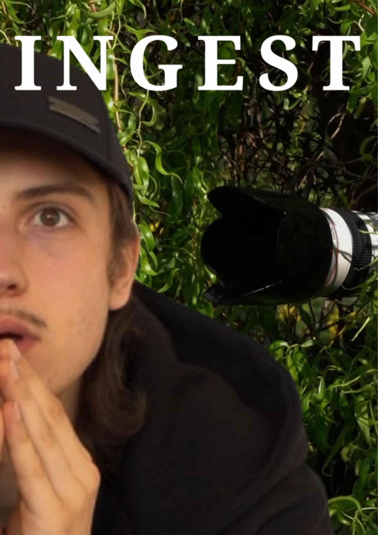 Ingest