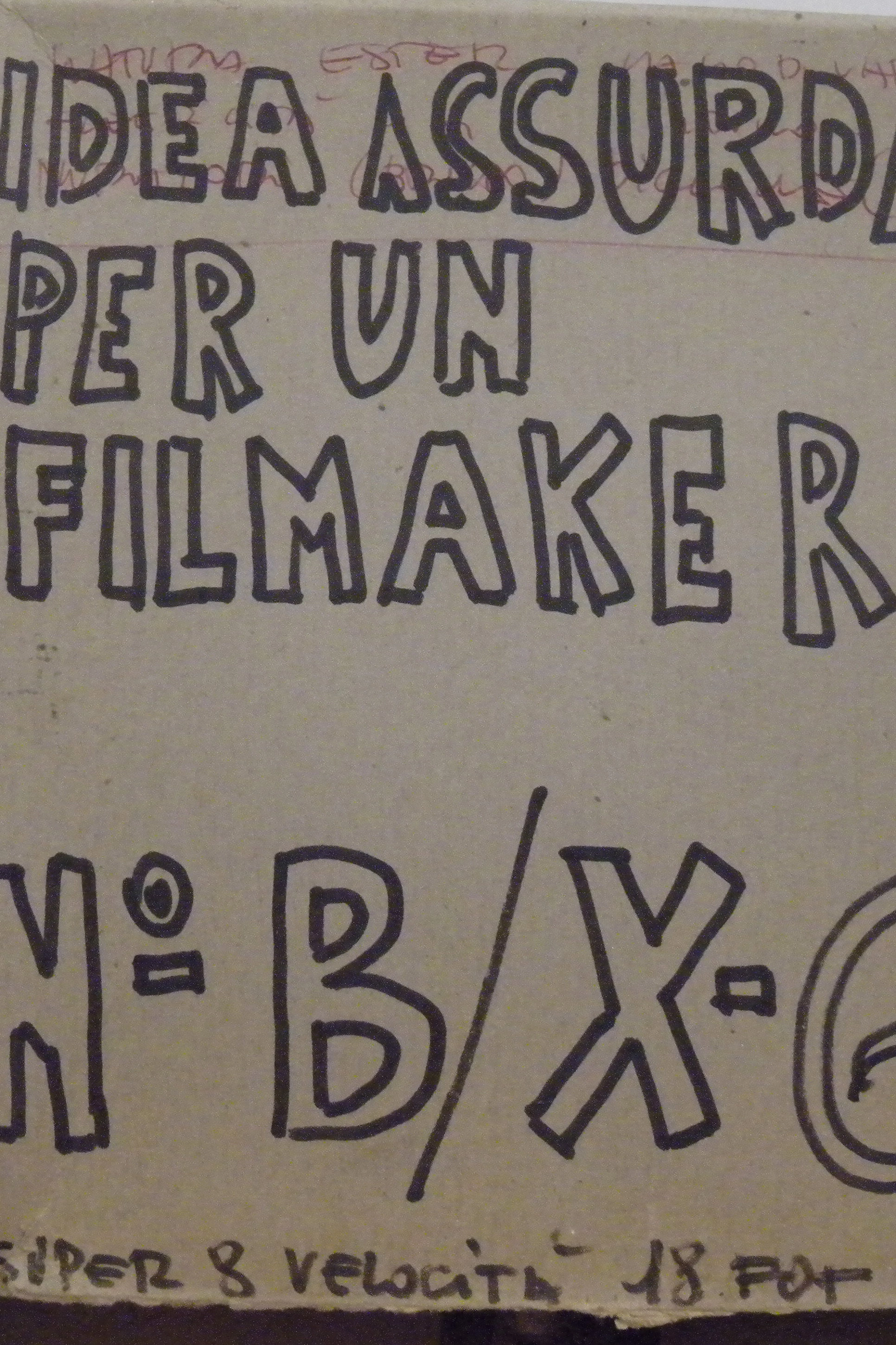 Idea assurda per un filmaker - Ester
