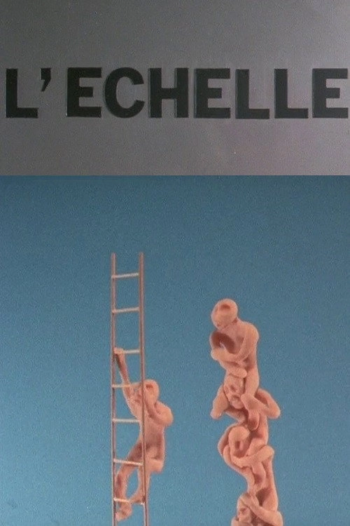 Scale