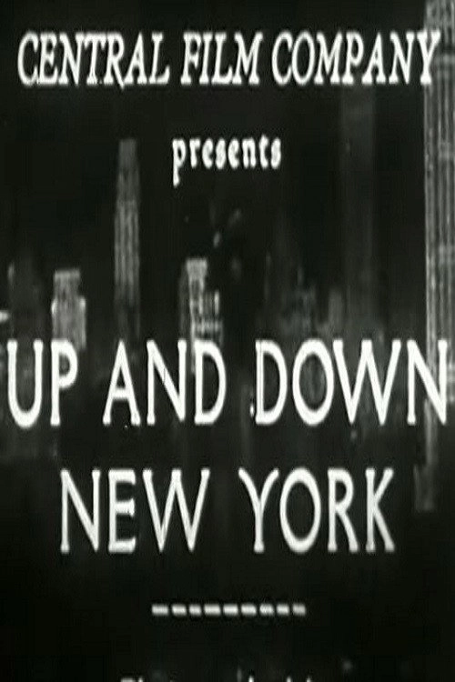 Up And Down New York