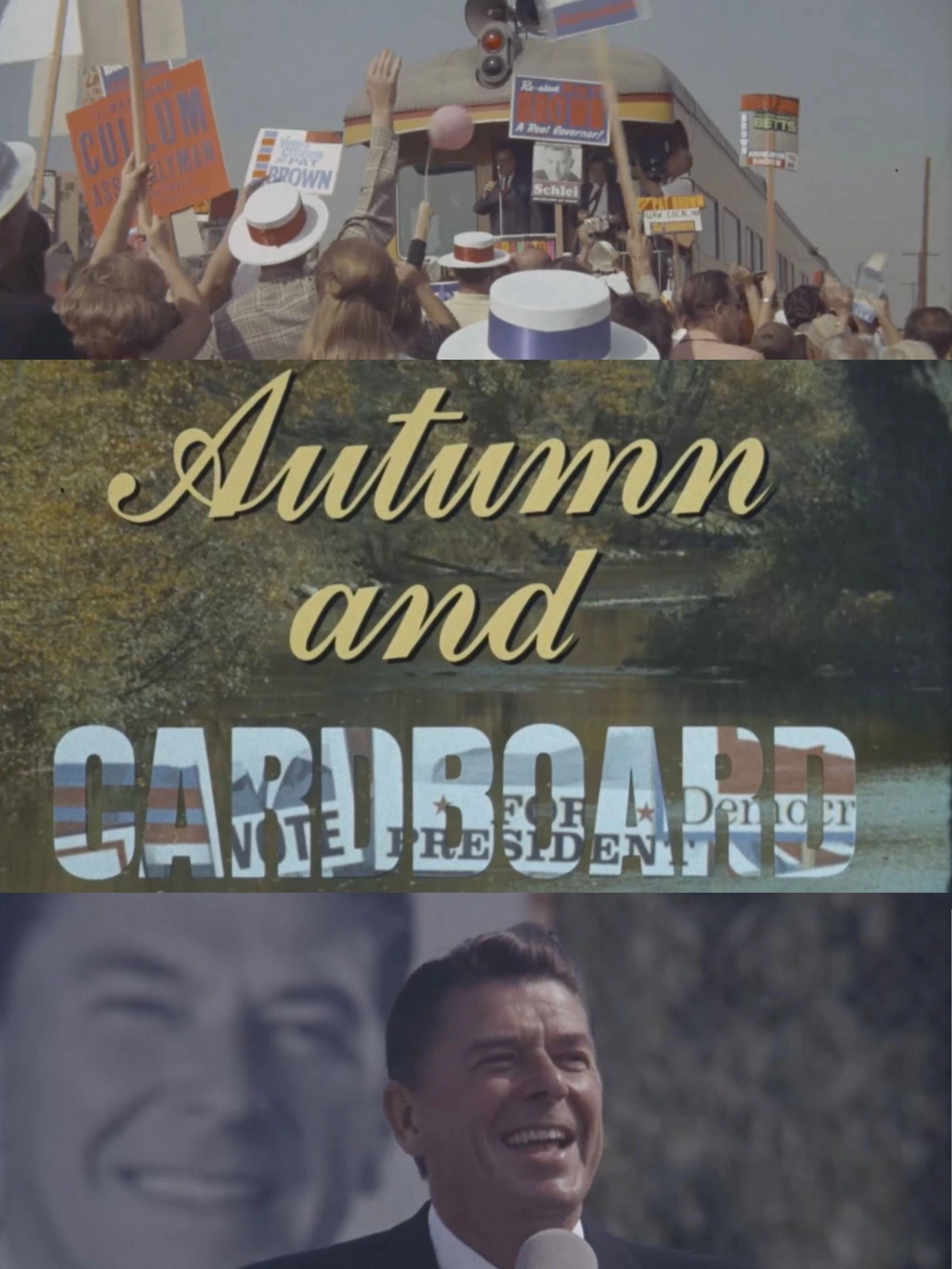 Autumn and Cardboard