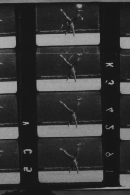 Muybridge Film