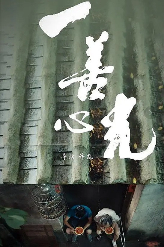 一善心光