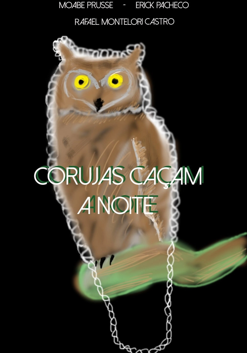 Corujas Caçam à Noite