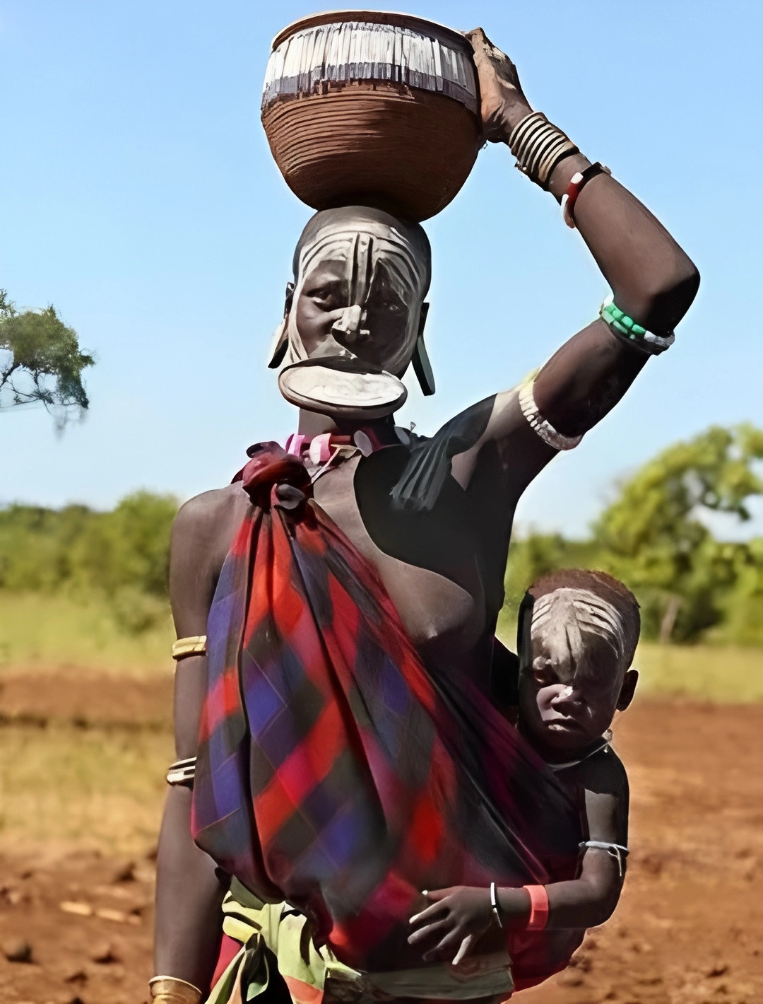 Tribes