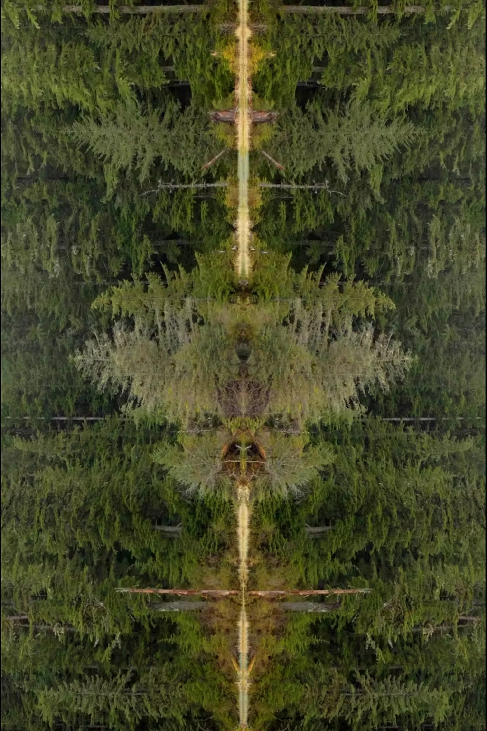 Mirrorpond