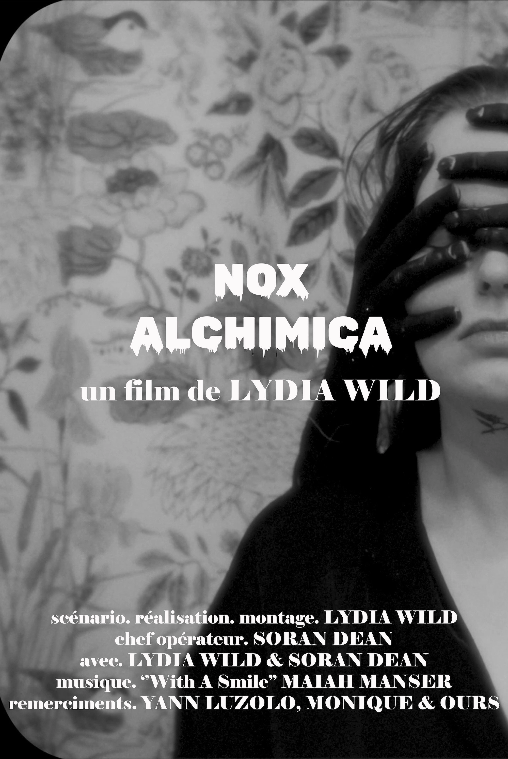 Nox Alchimica