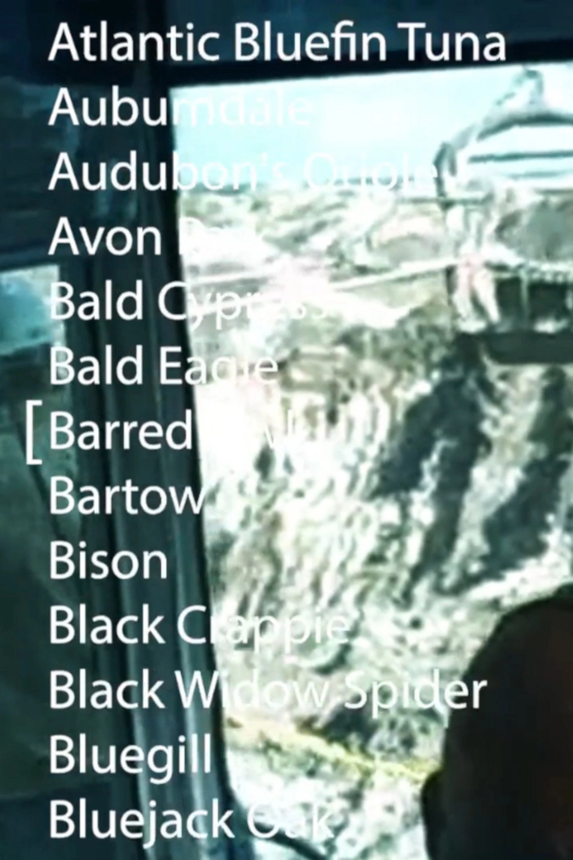 [water] acknowledgement