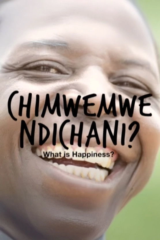 What is Happiness?