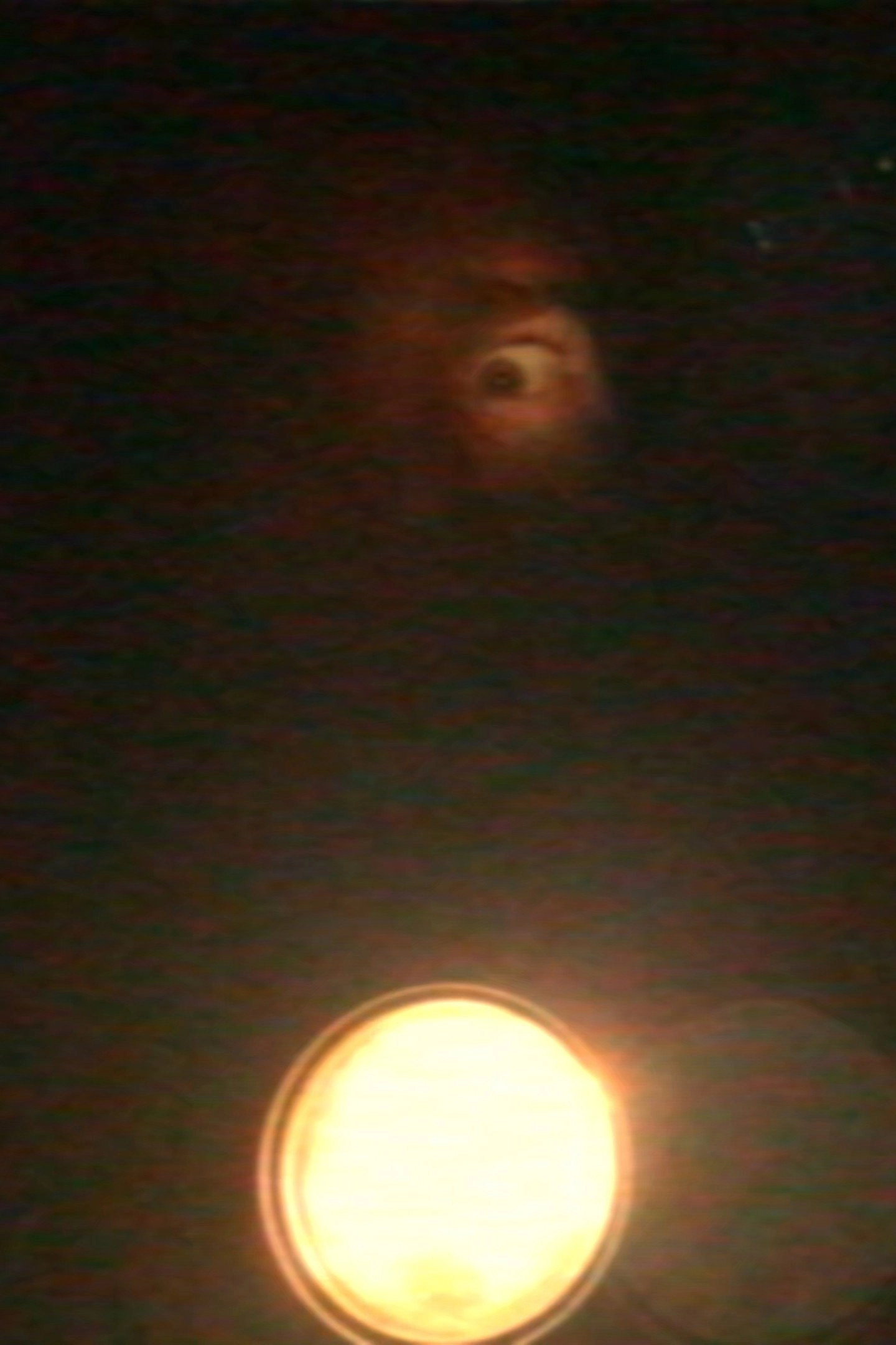 Desight