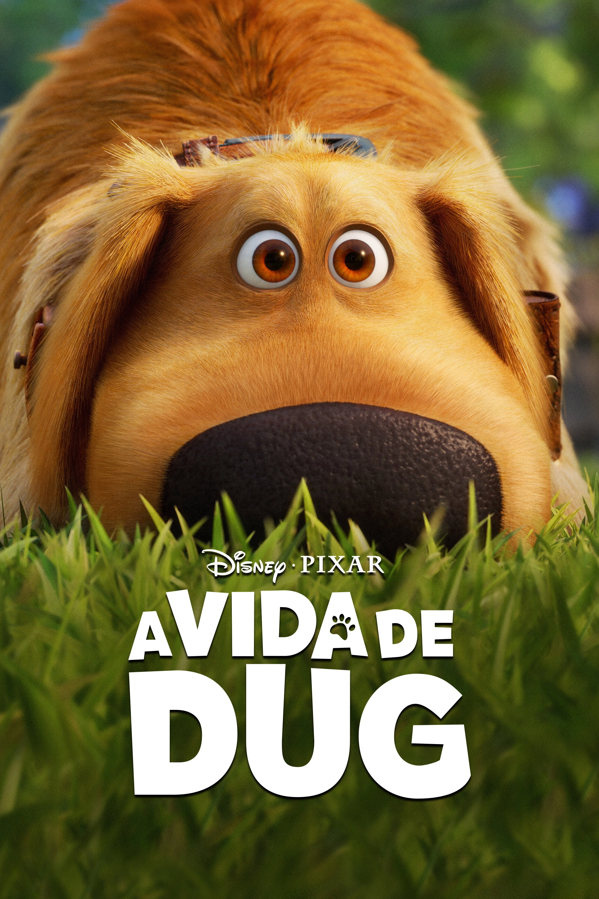 Dug Days