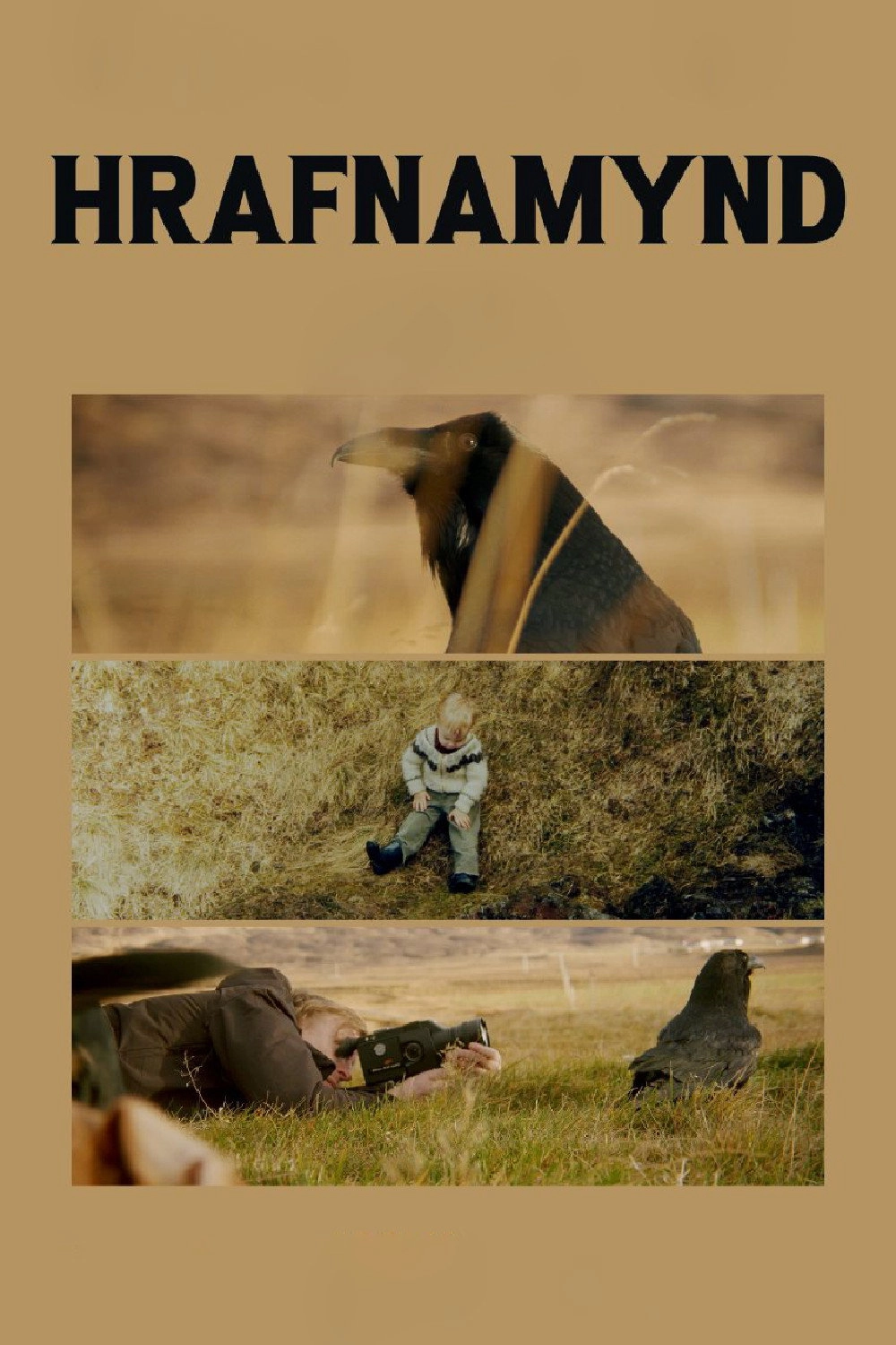 Hrafnamynd