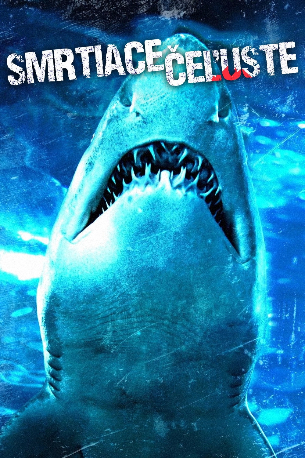 Dam Sharks!