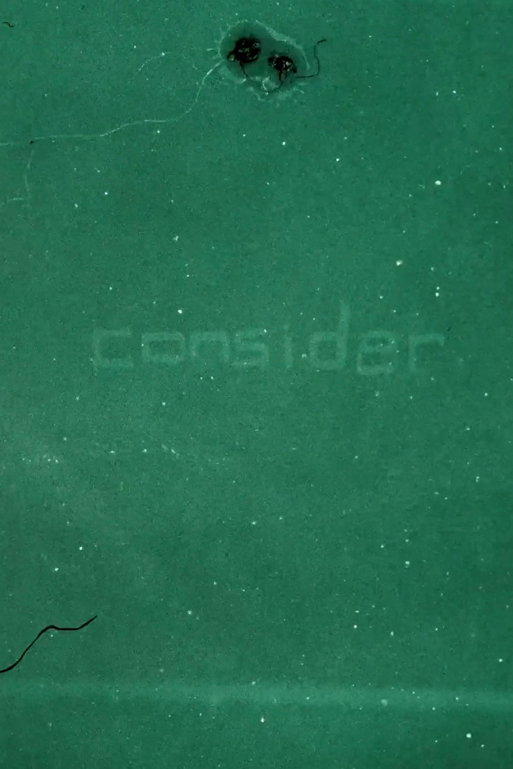 consider