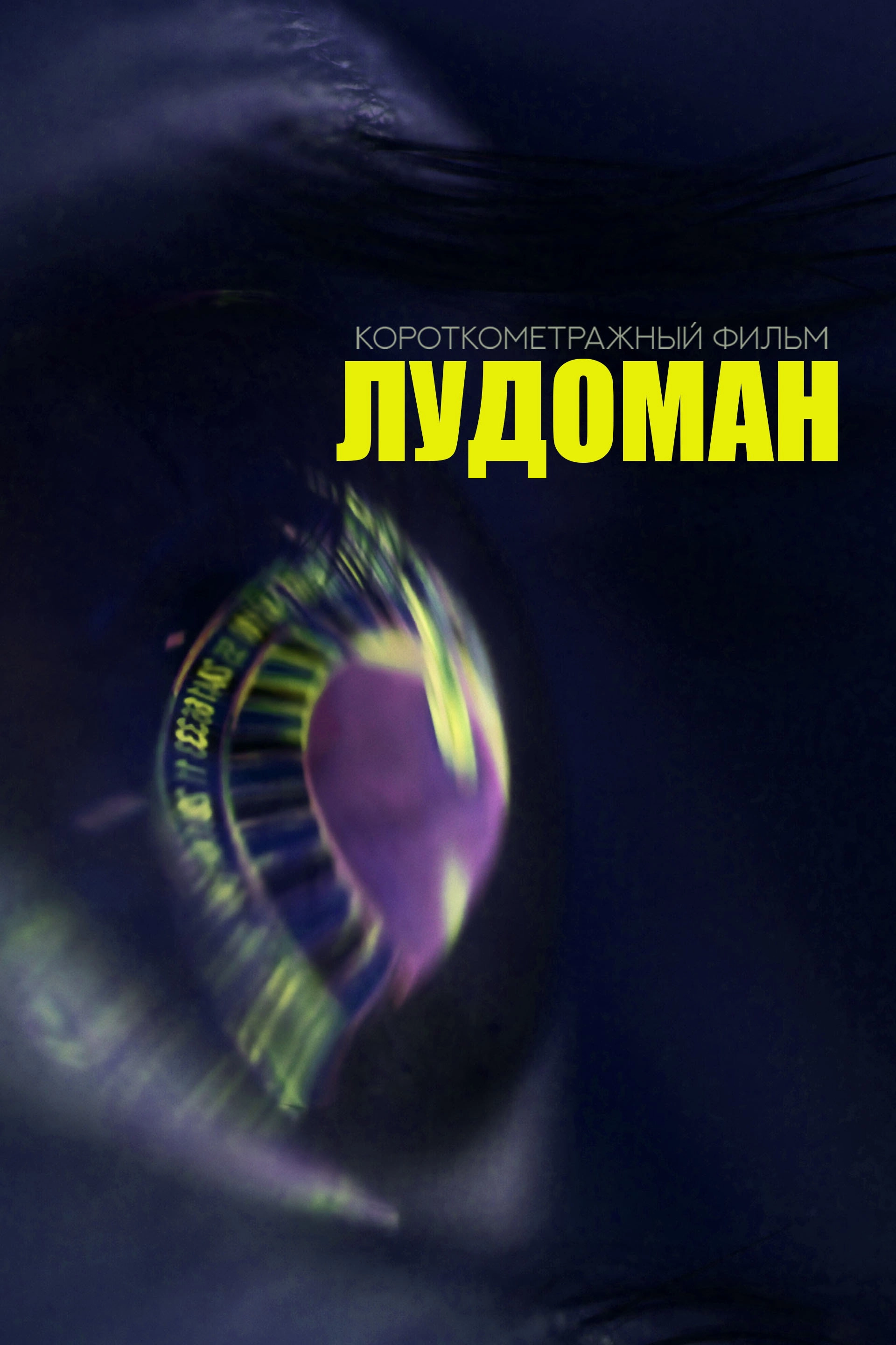 The Ludoman