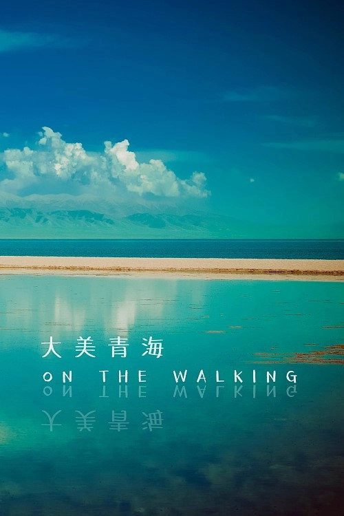 大美青海