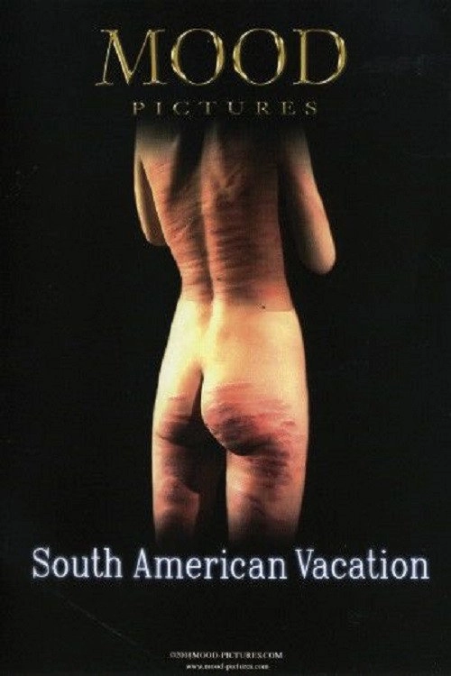 South American Vacation