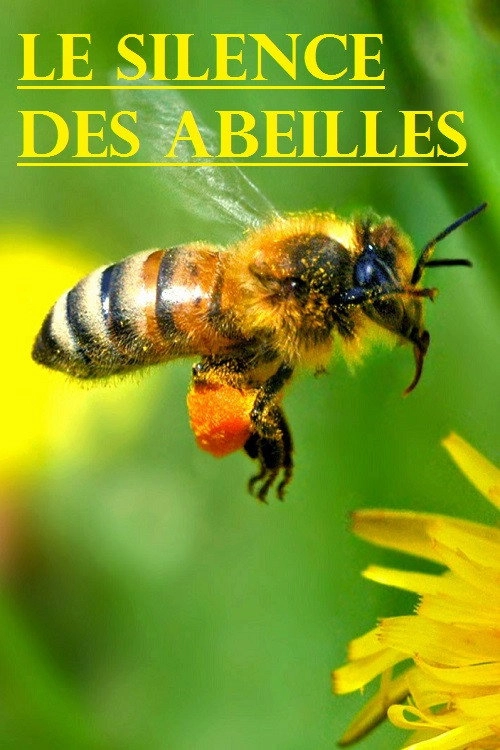 Le silence des abeilles