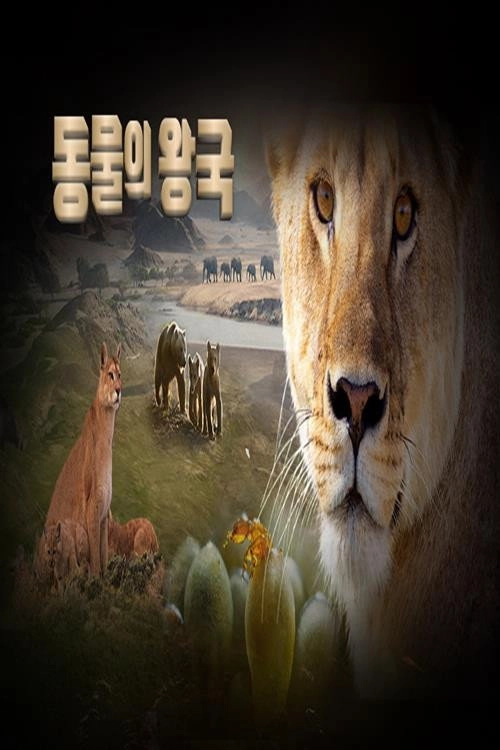 동물의 왕국