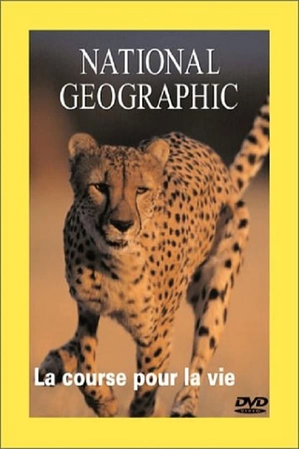 Cheetahs: The Deadly Race