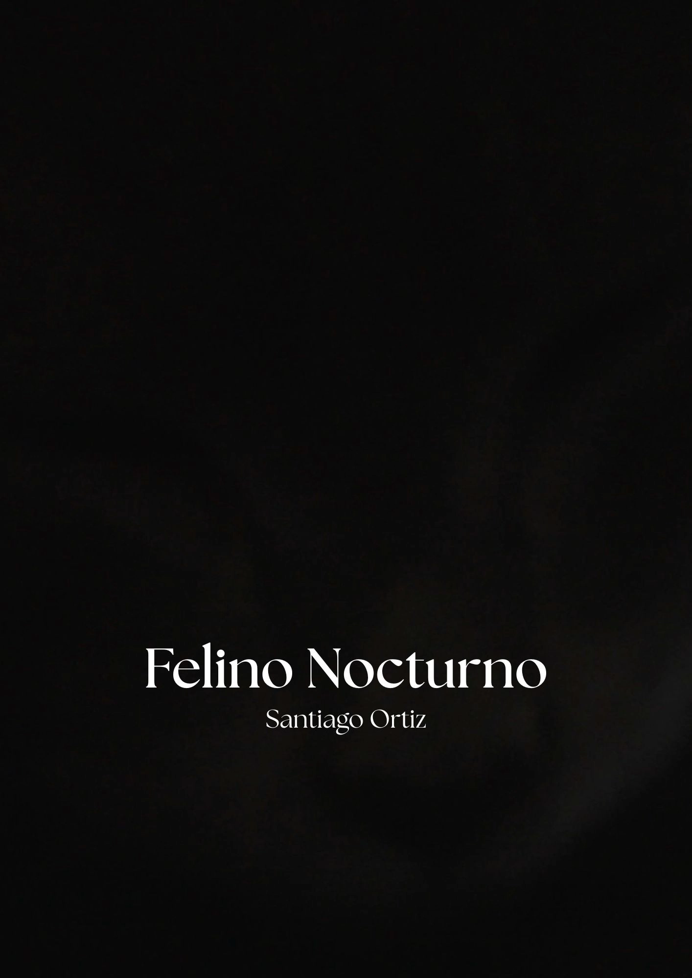 Felino Nocturno