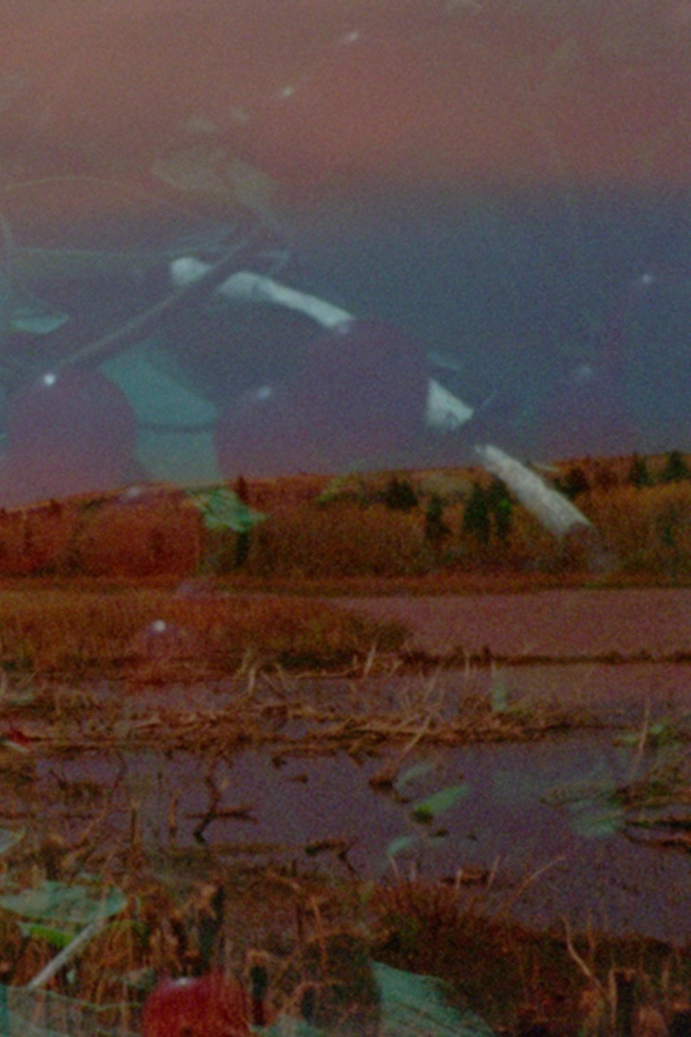 Mounds Above the Earth