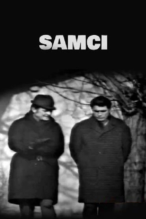 Samci